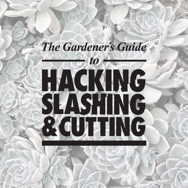 The Gardener’s Guide